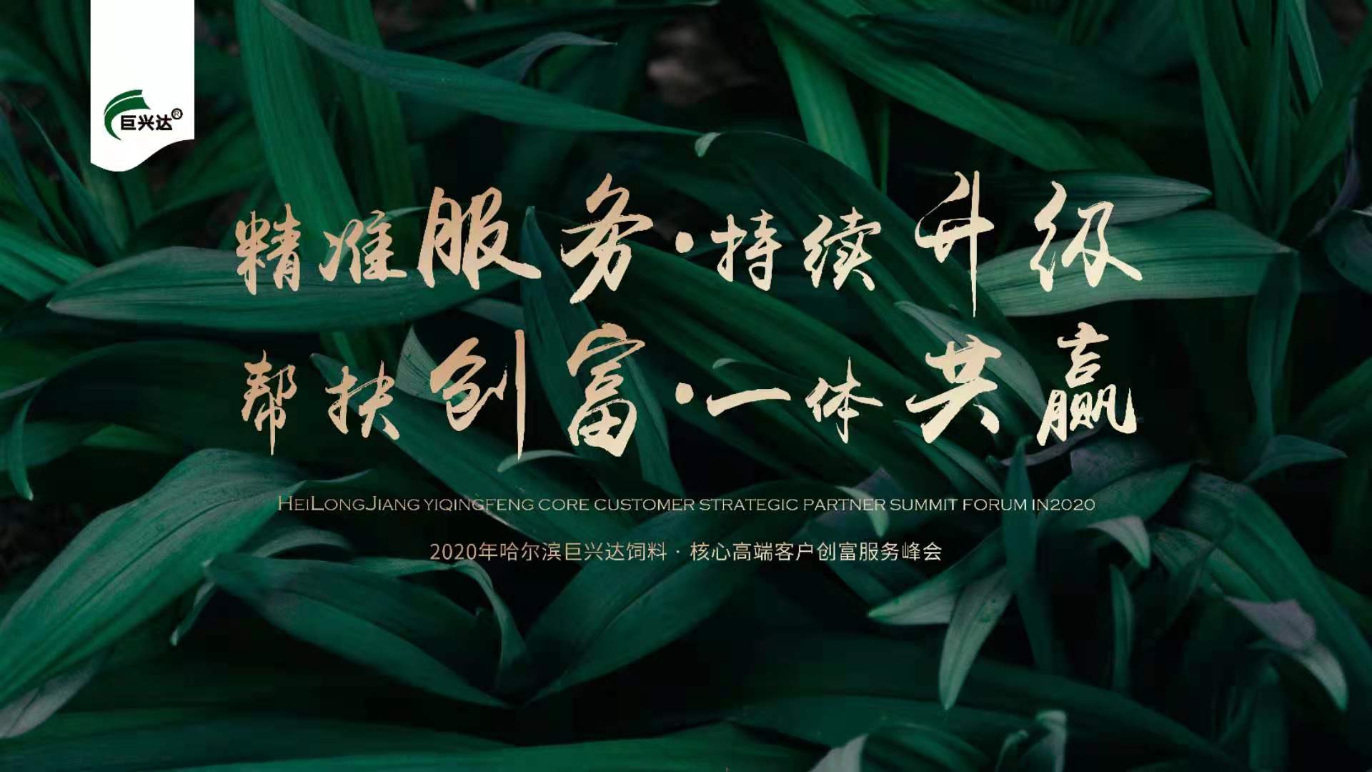巨興達(dá)